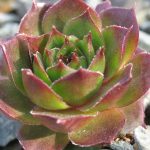 ????????????????????????