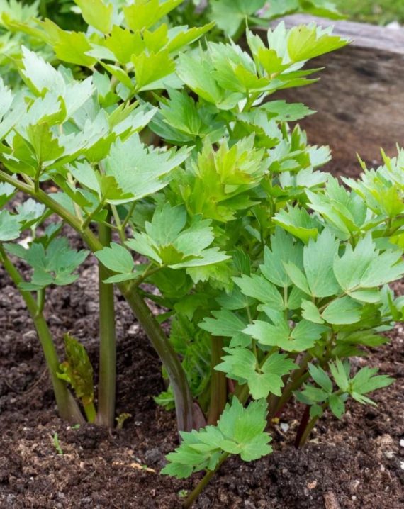 xr:d:DAFxQ4FnaMg:3339,j:9093179725025969604,t:23121216