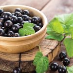 black currant
