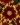 koreopsis grandiflora uptick red 1