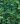 brsljan needlepoint 2