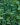 brsljan needlepoint 2